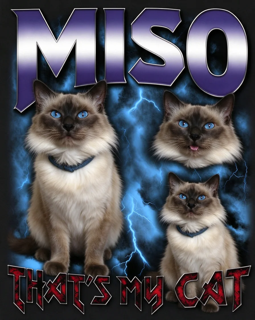 Custom Metal Tour bootleg tee featuring a cat named Miso